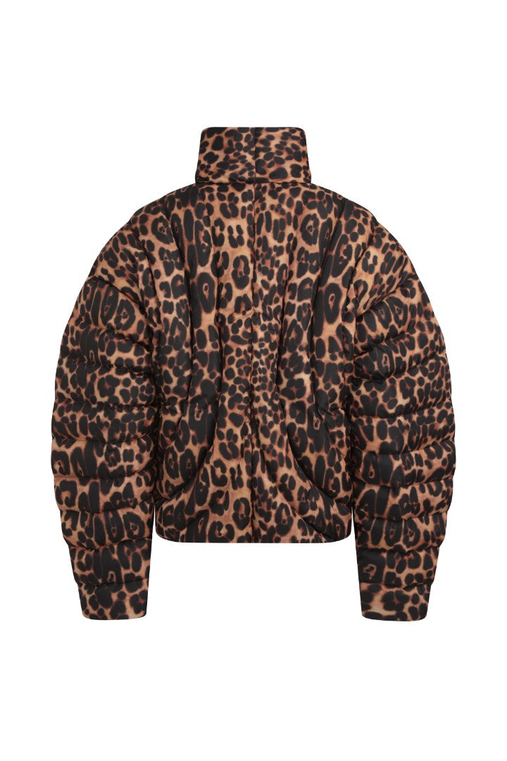 Down jacket Armour