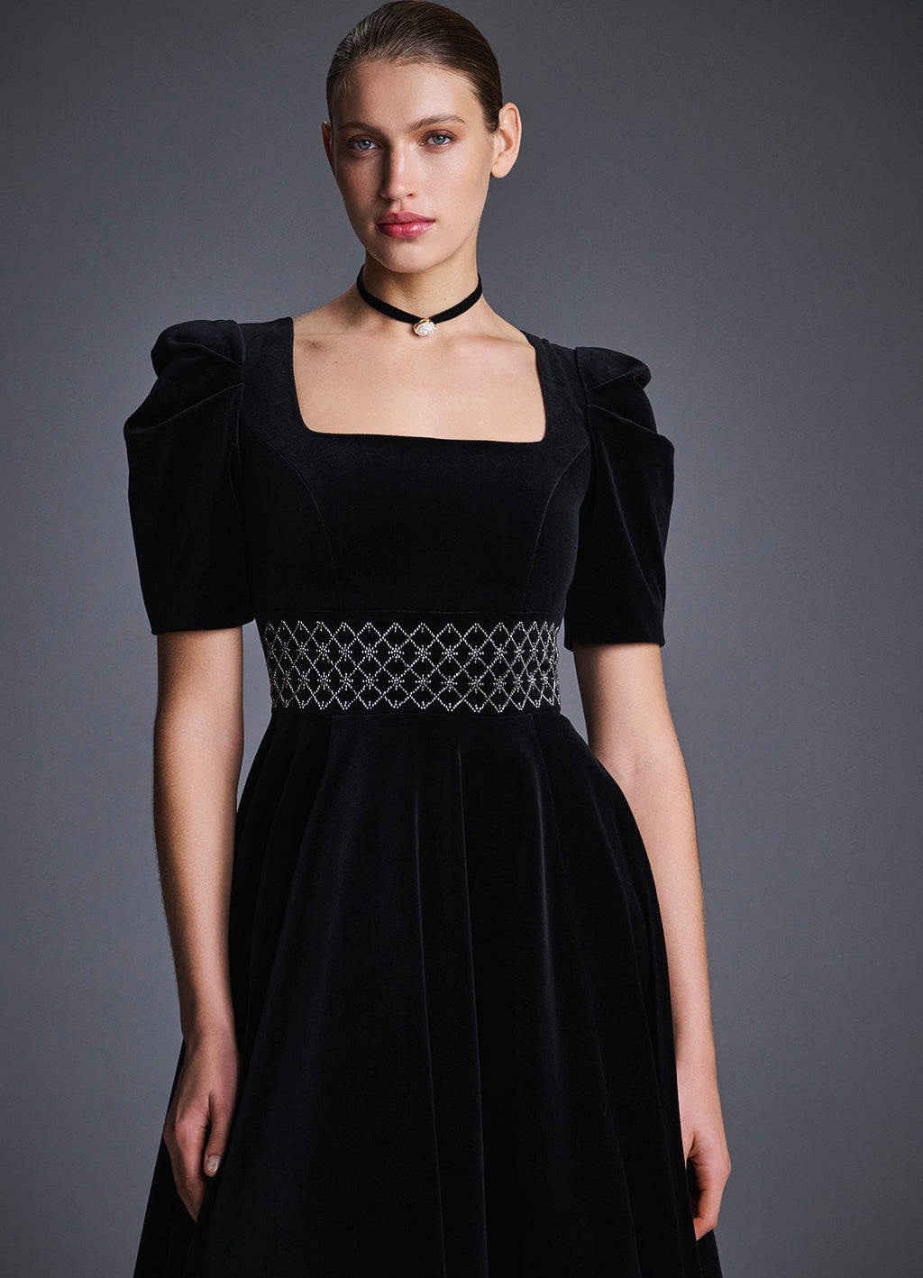 Vasilina Embroidered Velvet Dress