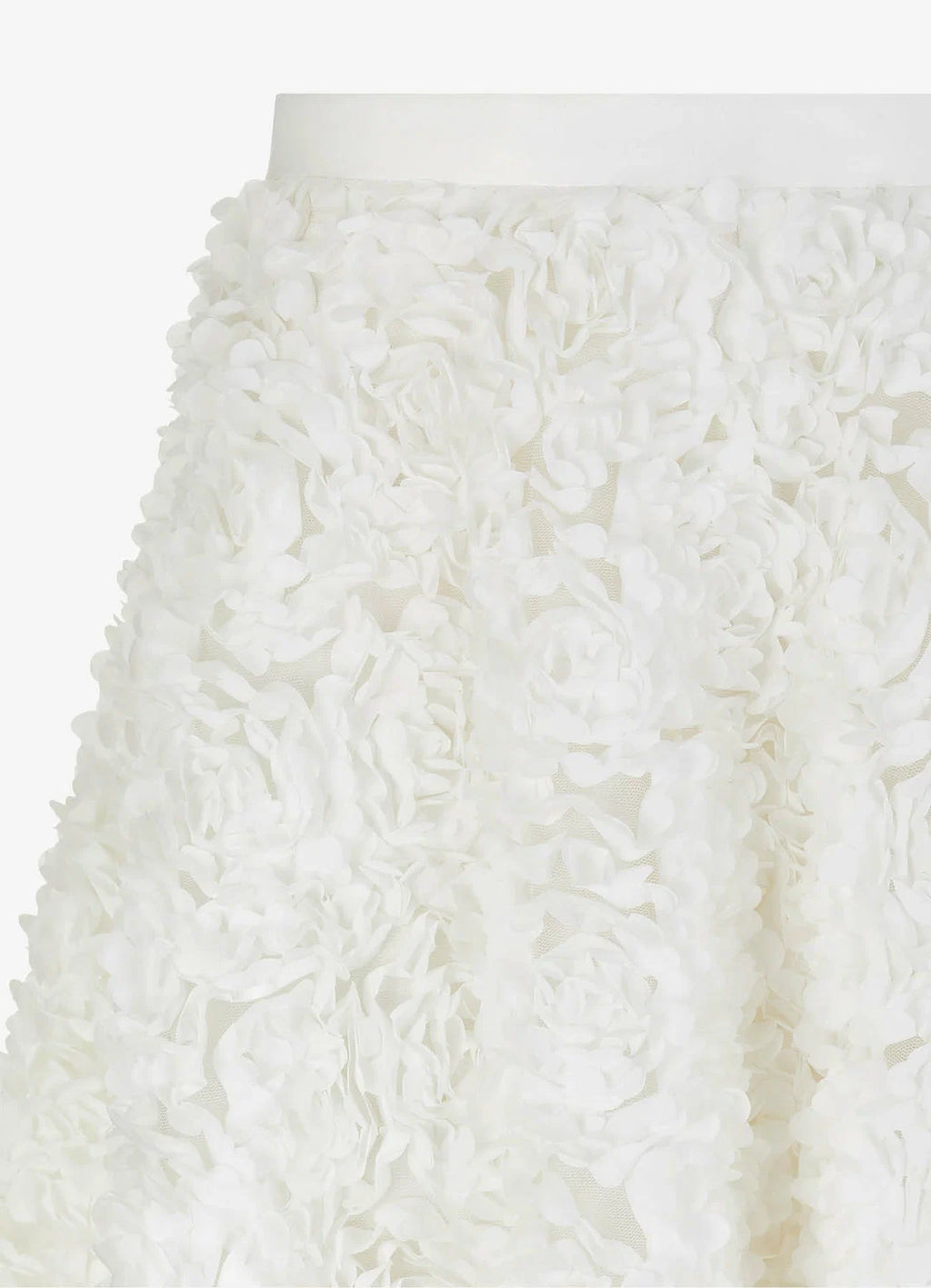Textured Organza Skirt