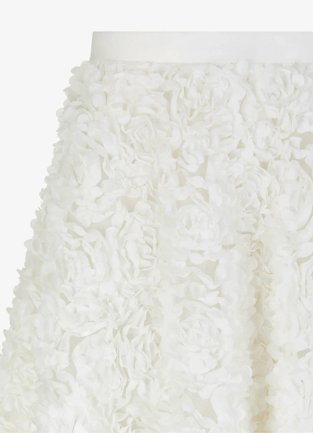 Textured Organza Skirt